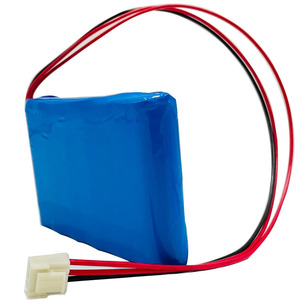 Batería de Iones de Litio <span class=keywords><strong>6S</strong></span> Personalizable <span class=keywords><strong>18650</strong></span>-6S1P 22.2V <span class=keywords><strong>24V</strong></span> 2600mAh 2800mAh 3000mAh Paquete de Baterías de Litio <span class=keywords><strong>18650</strong></span> para Productos Eléctricos - Product Image 2