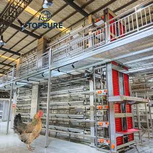 Gallinero Galvanizado Tipo H <span class=keywords><strong>de</strong></span> Múltiples Niveles con Eliminación Automática <span class=keywords><strong>de</strong></span> Estiércol, Material Plástico <span class=keywords><strong>de</strong></span> Larga Duración para Granjas Avícolas - Product Image 2