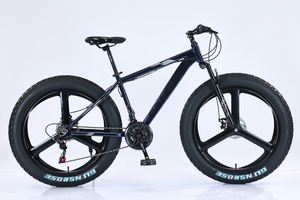 Africa-Ready: sentieri di montagna fangosi, nessun motore necessario, un pezzo ruota da neve bici, senza limiti: ghiaia, colline, fango masterizzato - Product Image 4