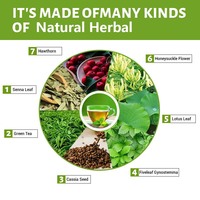 Meilleur Thé Minceur Rapide Personnalisé Winstown Chine Tisane en Sachet Vert Marque Privée 28 Jours Fit Slim Tea pour Femmes Brûle-Graisse Ventre Plat