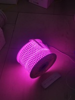 Guirlandes lumineuses LED USB en PVC étanches haute tension AC 165-265V 2700K blanc chaud avec contrôle tactile/sensoriel 100M IP65 certifiées CE