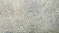 Plaque de placage en pierre translucide Silver Shine de Flatstone Designs, finition réfléchissante, design rétroéclairé pour murs et plafonds intérieurs