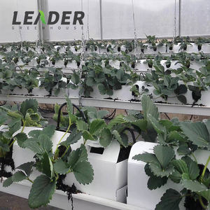 Peças de <span class=keywords><strong>greenhouse</strong></span> para agricultura comercial, barata, hidroponia, plantio, caixa de hdpe preto e branco, 1m de comprimento - Product Image 5