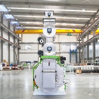 Machine de traitement des aliments pour animaux RICHI 3-4T/H, machine de fabrication de granulés d'aliments pour volailles pour l'Indonésie, la Thaïlande, le Bangladesh, la Malaisie