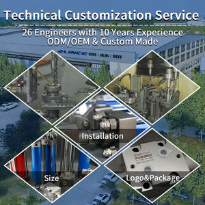 כפול משחק מיצב הידראולי מייצב רגליים בוכנה גליל משאבת בטון rc מחפר מנוף הידראולי - Product Image 4