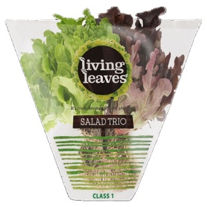 Recycle BOPP CPP PLA compostable lettuce Bag food packaging plastic bag