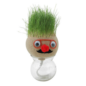 Mini Groeiend Gras Hoofdonderwijs Speelgoed Graskop Poppen Kinderen Kinderen Maken Diy Geschenken - Product Image 5