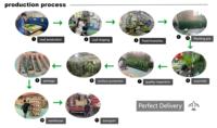 Bonsaï Artificiel Moderne Maison et Jardin, Faux Olivier Réaliste en Pot en Plastique pour Aménagement Paysager