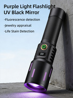 Lampe torche UV professionnelle 365 nm avec filtre noir, lampe de Wood pour la détection d'urine, la chasse aux scorpions, la recherche de minéraux et la vérification des billets