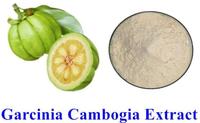 Usine Bon Prix Garcinia Cambogia Capsules Matières Premières Cambogia Garcinia Extrait Vegan Cambogia Garcinia Poudre Adulte