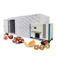 Elektrische droger voor fruit en groenten, meloenen, hawthornbessen, vijgen, en palmpitdroger.