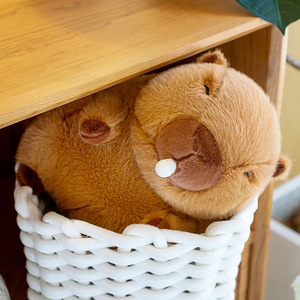 Peluche Capybara transfrontalière, jouet en peluche delfin à bulles d'eau, jouet moche et mignon pour enfants, jouet pour machine à attraper, cadeau en lot - Product Image 3