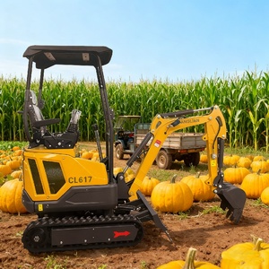 Escavadora Mini Crawler Amarela CHUANGLIAN 1700kg Sistema Hidráulico Capacidade do Balde de 0,03m Motor LAIDONG380 Garantia de 1 Ano - Product Image 4