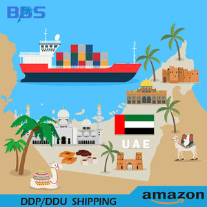 Envío DDP Económico a Todo el Mundo con Envío Exprés Marítimo y Aéreo a los Emiratos Árabes Unidos, 7-10 Días de Tránsito, <span class=keywords><strong>Seguro</strong></span> de Transporte, Manejo de Mercancías Peligrosas, Soporte 24/7 - Product Image 6