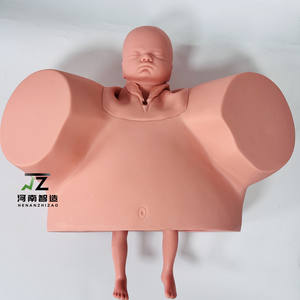 แบบจำลองการฝึกอบรมภาวะคลอดยากทางวิทยาศาสตร์การแพทย์ แบบจำลองการฝึกอบรมการช่วยคลอด แบบจำลองการฝึกอบรมการช่วยคลอด - Product Image 2