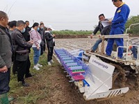 Offre Spéciale riz transplanter monté 8-10 rangées riz rabotage machine paddy semoir pour vente