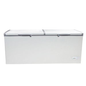 Congelador y Refrigerador Comercial Clásico, Conservación a Largo Plazo, Bajo Consumo de Energía, Equipo de Cocina LCG LCG - Product Image 6