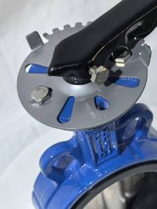 BS/En/DIN <span class=keywords><strong>Wafer</strong></span> Bướm Đôi đĩa kiểm tra van gang chảy ngược ngăn ngừa đôi đĩa kiểm tra van dn800 - Product Image 4