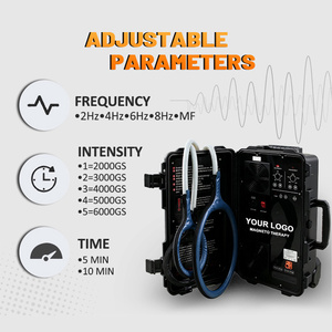 Máquina PEMF para Alivio del Dolor Corporal, Tapete Magneto PEMF para Fisioterapia, Dispositivo PEMF de Bucle para Terapia del Dolor en Caballos - Product Image 4
