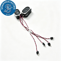Harnais pour haut-parleur, Harnais audio pour haut-parleur, Harnais personnalisé, Harnais audio pour appareil intelligent, Harnais pour haut-parleur OEM personnalisé pour ordinateurs portables
