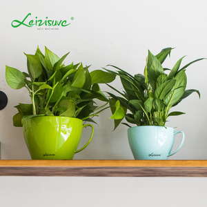 Leizisure Deskpot <span class=keywords><strong>de</strong></span> taza <span class=keywords><strong>de</strong></span> café <span class=keywords><strong>de</strong></span> plástico forma <span class=keywords><strong>de</strong></span> flor olla taza suculenta planta crecer Gran taza <span class=keywords><strong>de</strong></span> té plantador - Product Image 5