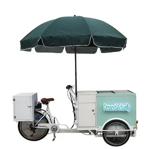 TUNE 3 Ruote Elettrico Motorizzato Solare Carrello Gelato Della Bici con la Batteria Congelatore