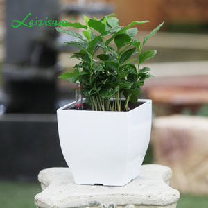 Leizisure mesa de plástico Mini pequeño regordete <span class=keywords><strong>Plaza</strong></span> trapezoidal de riego planta maceta pote de flor - Product Image 4