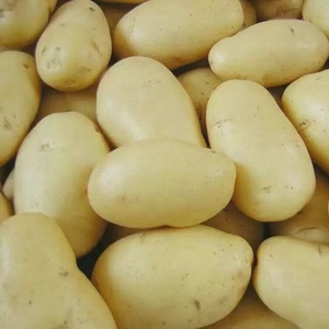 Nouvelle ferme de <span class=keywords><strong>patate</strong></span> douce/patates pelées fraîches - Product Image 5