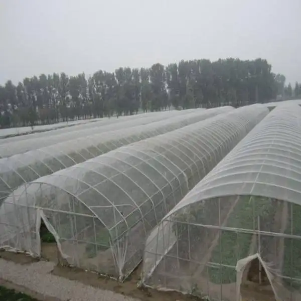HDPE防虫ネット/プラスチックアブラムシ防止ネット/温室防虫ネット農業用