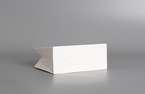 Free Sample Wholesale Customized logo White <strong>Paper</strong> <strong>Bag</strong> <strong>with</strong> Handle Rope - Product Image 6