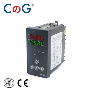 CG 48 * 96毫米 1300 ° K J 型 PT100 0-10V 4-20mA 输出 SSR 继电器 240V 24V 380V 恒温器 1 报警 PID 温度控制器