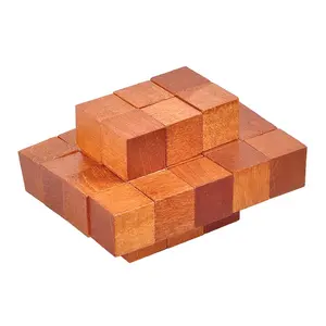 New Design Iq Brain Gift Wood Puzzle Game Kids Creative Supplier Education Block Toys