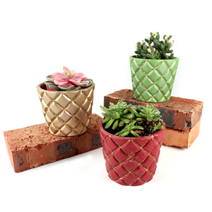 Rond moderne style mat <span class=keywords><strong>balcon</strong></span> jardin décor vivre pot <span class=keywords><strong>de</strong></span> plantes succulentes/terre cuite accueil décoration pots pour plantes - Product Image 3
