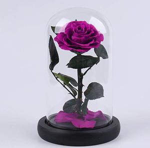 Forever Real Rose Everlasting Flower Preserved Fresh Flower Live <strong>Enchanted</strong> Rose in Glass Dome Cover with Gift Box - Product Image 5