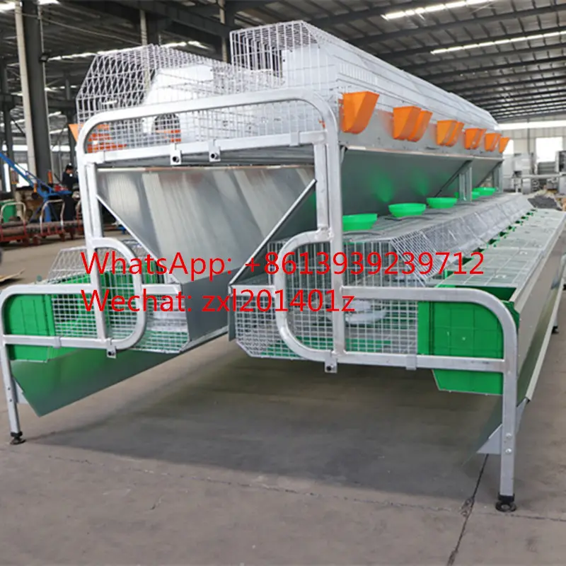 Cheap Price Hot Dipped Galvanized 2 Tiers 24 Positions Commercial Meat Rabbit Battery Cages For 12 Mother Rabbits Sale