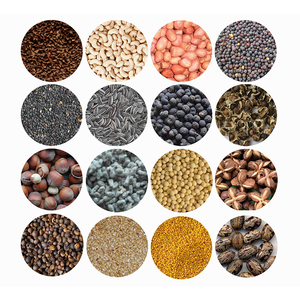 GS70 Guangxin Fabricant <span class=keywords><strong>Fève</strong></span> <span class=keywords><strong>De</strong></span> <span class=keywords><strong>Cacao</strong></span> Rajkumar Presse À Huile Machine - Product Image 4