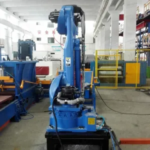 Automatische Palletizer, Robot Palletising Systeem