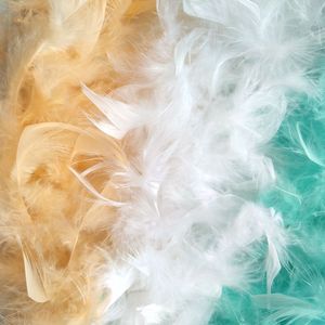 ขนไก่งวงสีรุ้งขนาด40กรัมสำหรับตกแต่ง - Product Image 3