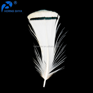 HP-25 Dame Amherst Pointes Blanches Plumage Naturel 1.5-3 pouces Blanc Plumes De Paon - Product Image 3