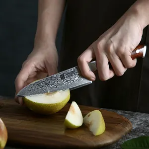Cuchillo de utilidad de acero de Damasco de 67 capas japonés de 5 pulgadas de alta calidad, cuchillos de cocina afilados con mango de palisandro