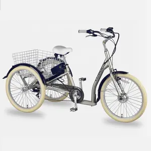 24 इंच के साथ 3 पहिया वयस्क बिजली कार्गो Tricycle रियर टोकरी शॉपिंग trike कार्गो tricycle के लिए बिक्री
