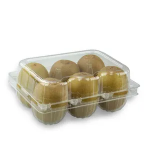 Free Samples Disposable Plastic Clamshell Kiwi fruit packaging container New on market customized fresh fruit packing box