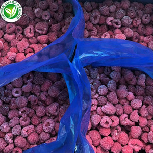 Congelados venta al por mayor <span class=keywords><strong>Raspberry</strong></span> precios por KG IQF - Product Image 5