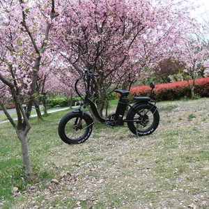 New Model 20 Inch Fat Tire Folding E Bike/Foldable Electric Bicycle 36V Motorlife Electric Bike Folding