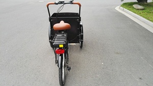 Triciclo Eléctrico de Carga Resistente de 250W con Cabina Delantera, Bicicleta Familiar para Niños con 3 Ruedas, Stock Europeo para Entrega en Almacén - Product Image 2