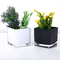 Vaso de vidro quadrado branco para plantas