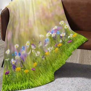 超柔印刷100% 涤纶绒布毯，为家庭和户外活动