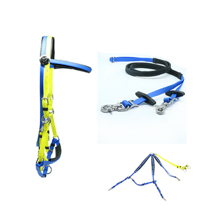ชุดอุปกรณ์ขี่ม้าแบบตะวันตกครบชุด ยี่ห้อ Charm สำหรับการแข่งขันขี่ม้าแบบ Endurance ประกอบด้วยสายจูงม้า อานม้าแบบอังกฤษ ผลิตในจีน ทำจากไนลอนและพีวีซี - Product Image 2