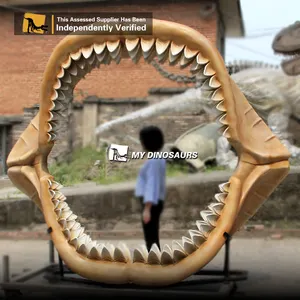 MY Dino DS131 World's Largest Shark Jaw Museum Megalodon Jaw Fossil for Sale