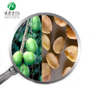 100% doğal Irvingia Gabonensis vahşi afrika Mango tohumu özü 7%-25% albümin <span class=keywords><strong>protein</strong></span>